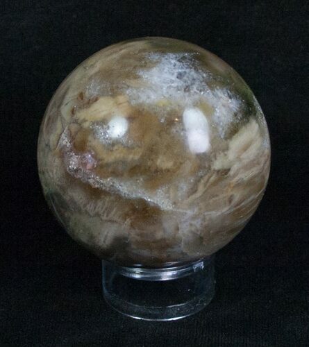 Inch Petrified Wood Sphere #4038
